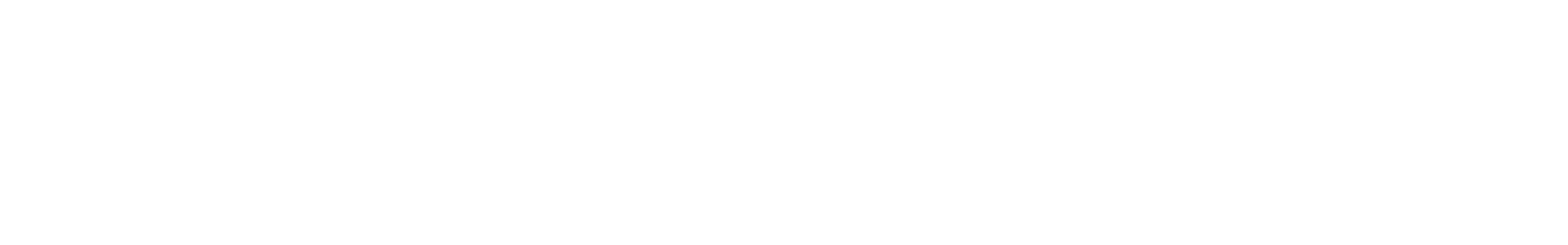 Setupro