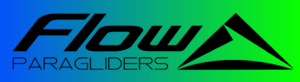 Horizontal Bv Logo