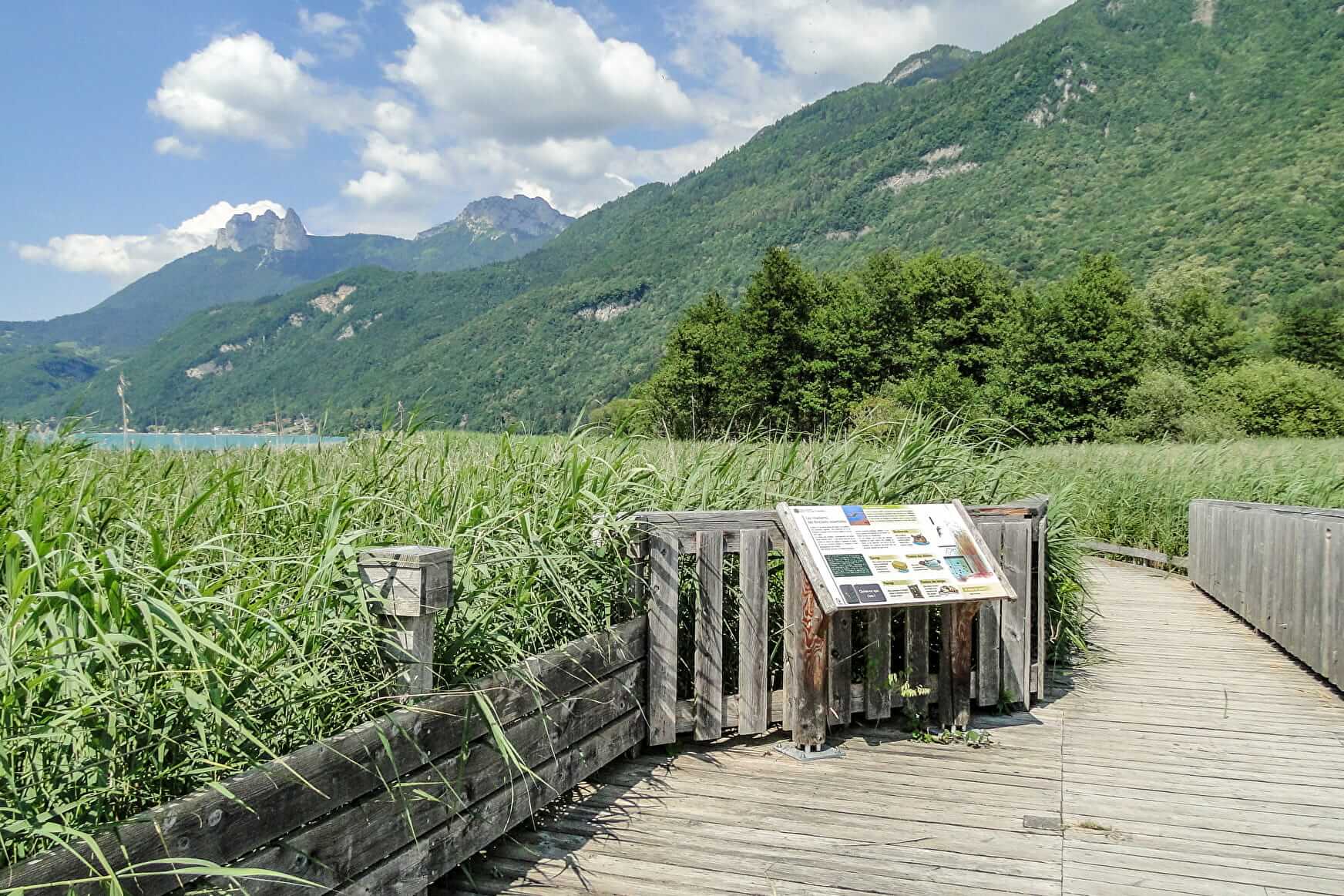 Reserve De Doussard Bout Du Lac