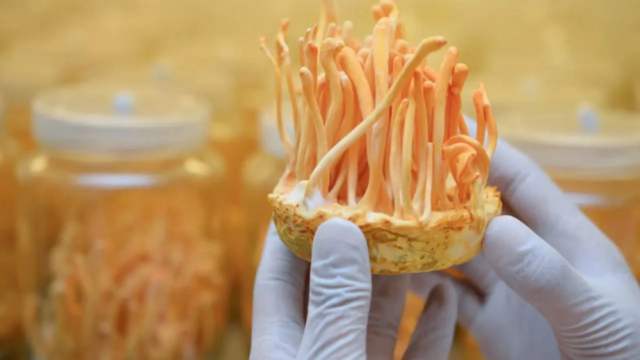 Sommaire du Module 1 de la formation Immo Academy de Rémi Roche : bases de l’investissement immobilier, stratégies et diversification.