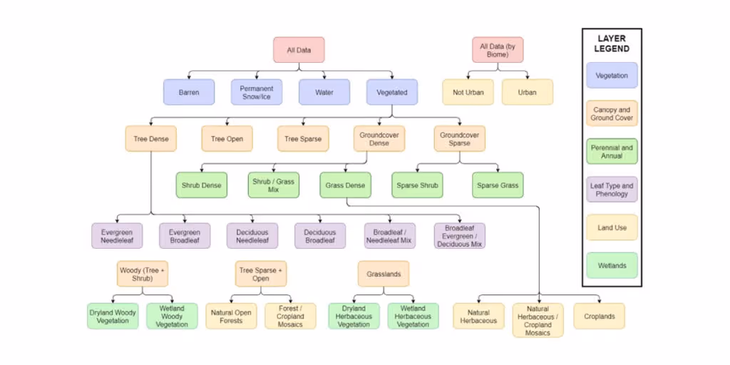 Using Hierarchical Affinity Mapping in UX Research
