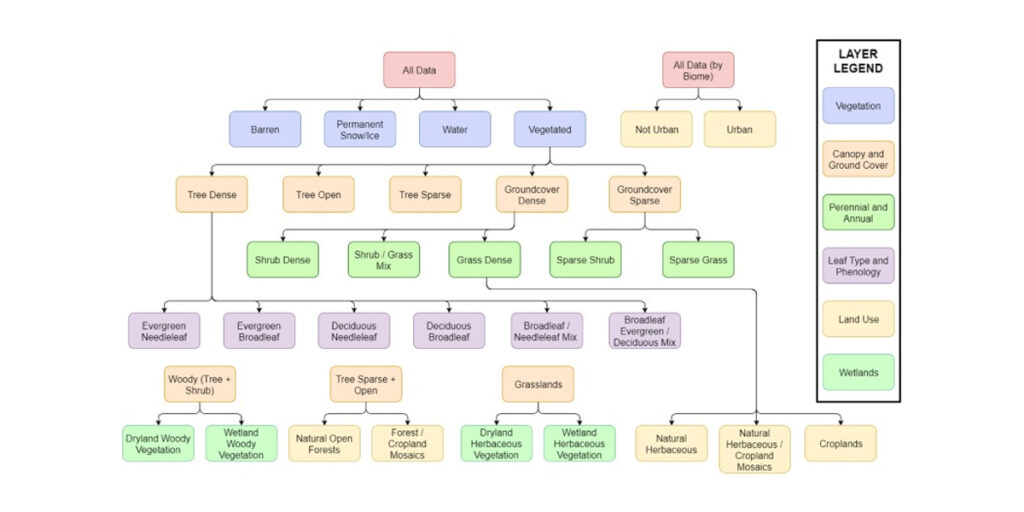 Using Hierarchical Affinity Mapping in UX Research