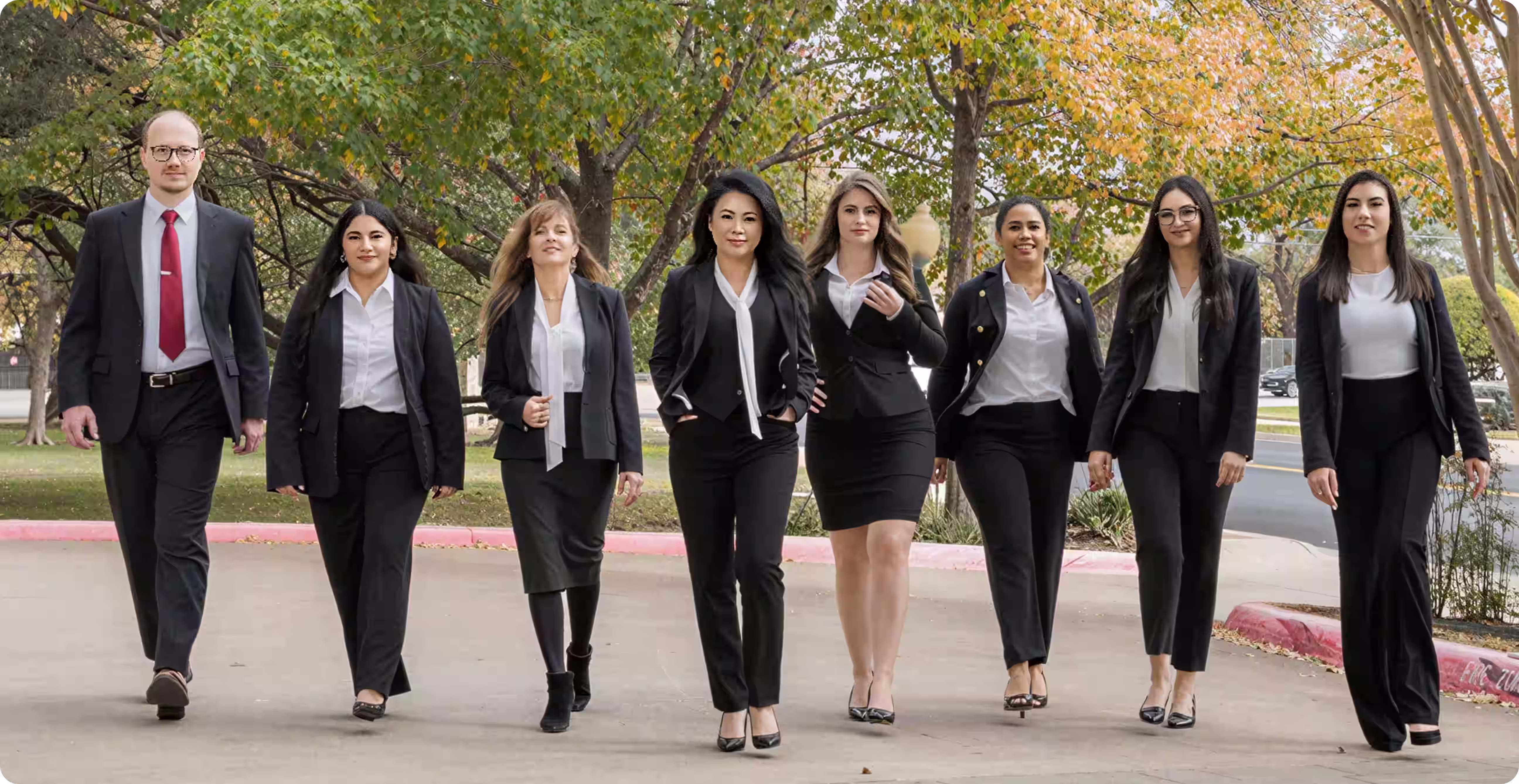 The Immigration Law Firm Team