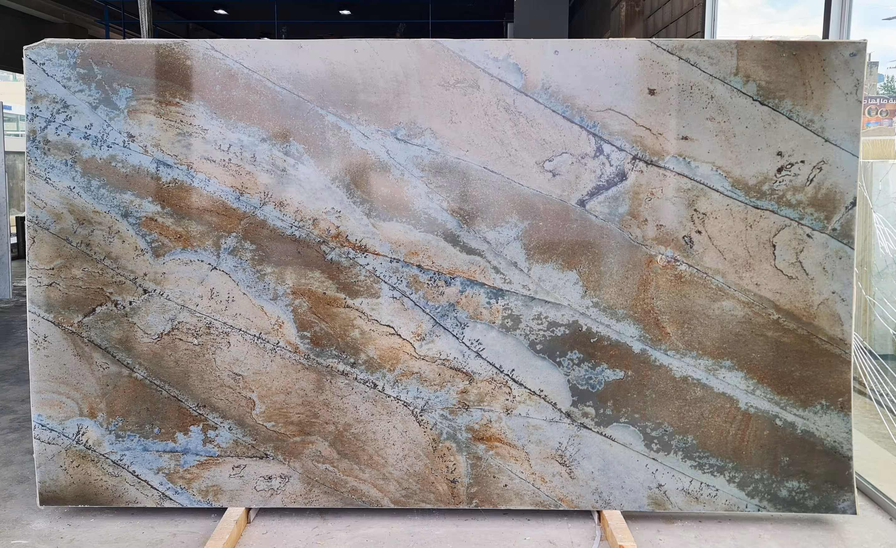 295 - BRAZILIAN FOSSIL - S21