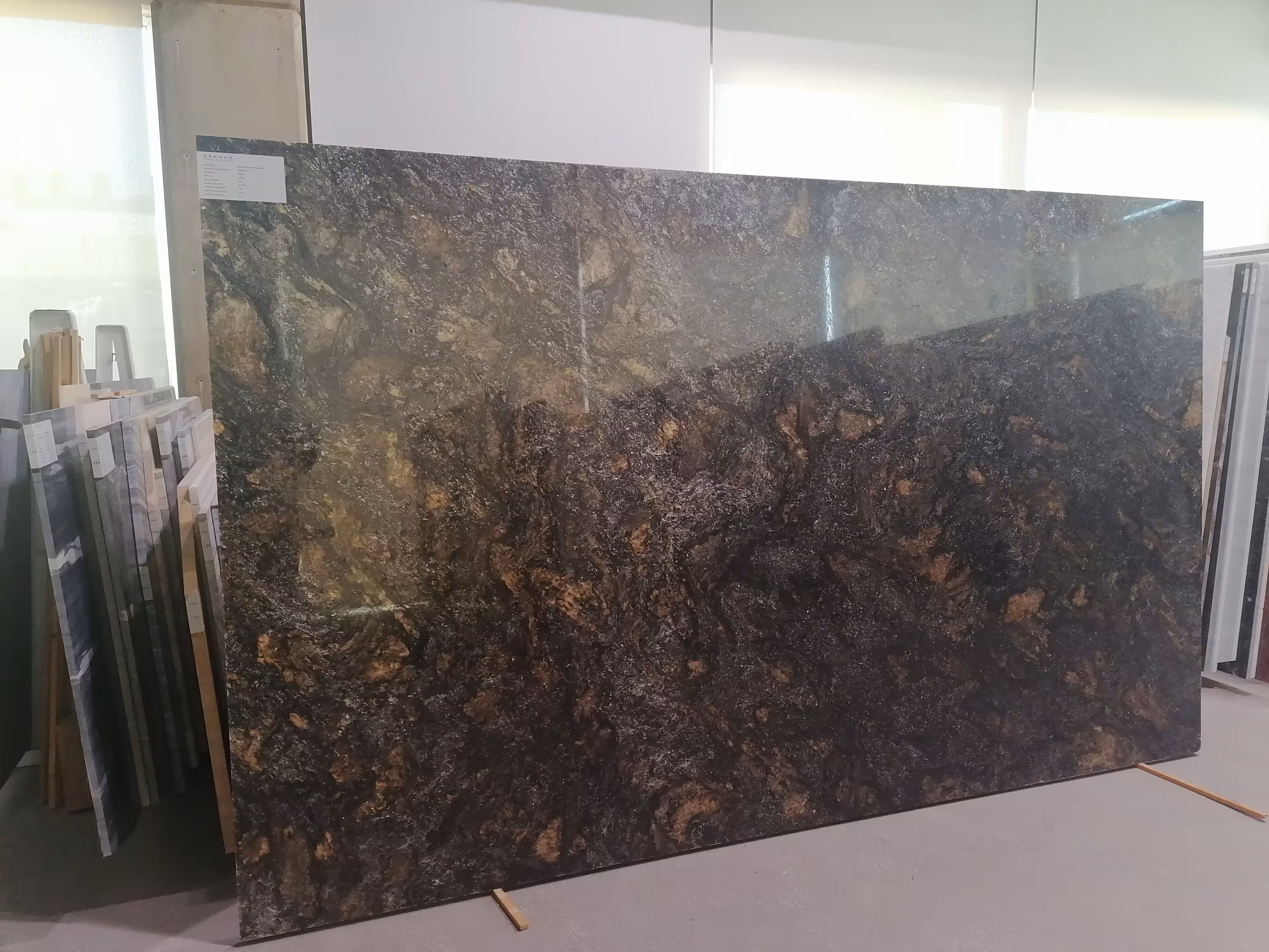 379 - SATURNIA POLISHED