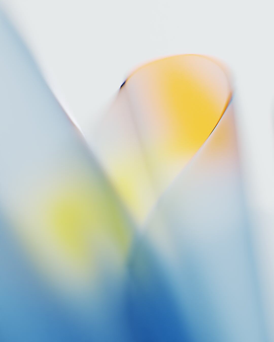 Close-up of translucent, curled sheets of colored paper blending shades of yellow, blue, and white.