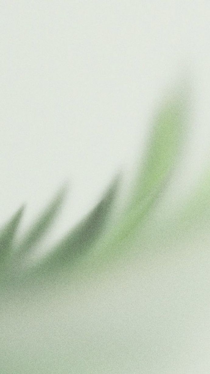 Close-up of soft, blurred green leaves against a pale background.