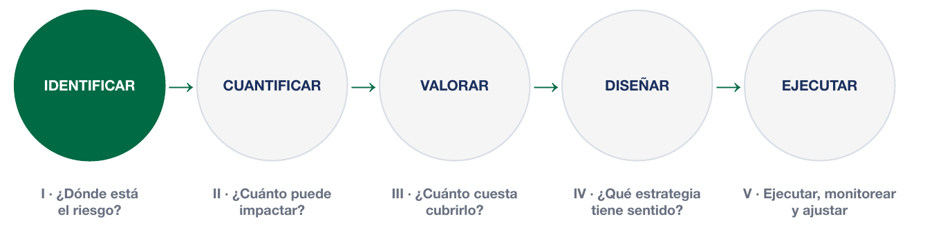 Identificar · Cuantificar · Valorar · Diseñar · Ejecutar.