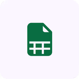 Green spreadsheet file icon representing an Excel document on a light background.