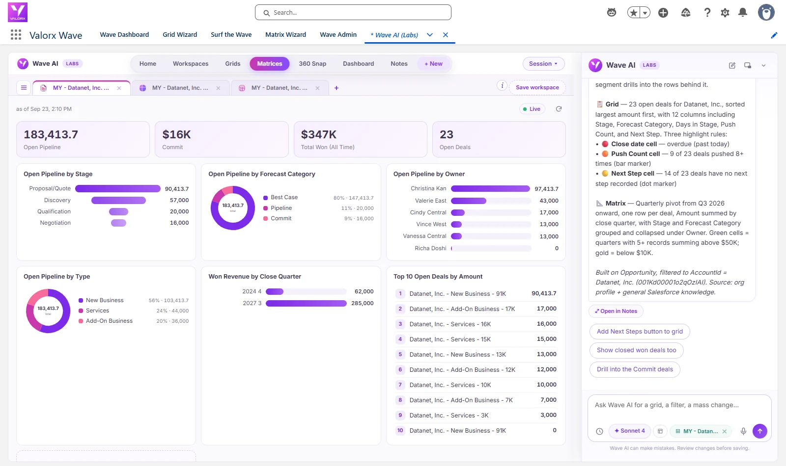 Wave AI dashboard for Datanet, Inc.: $183,413.70 open pipeline, 23 open deals, charts by stage, forecast category and owner