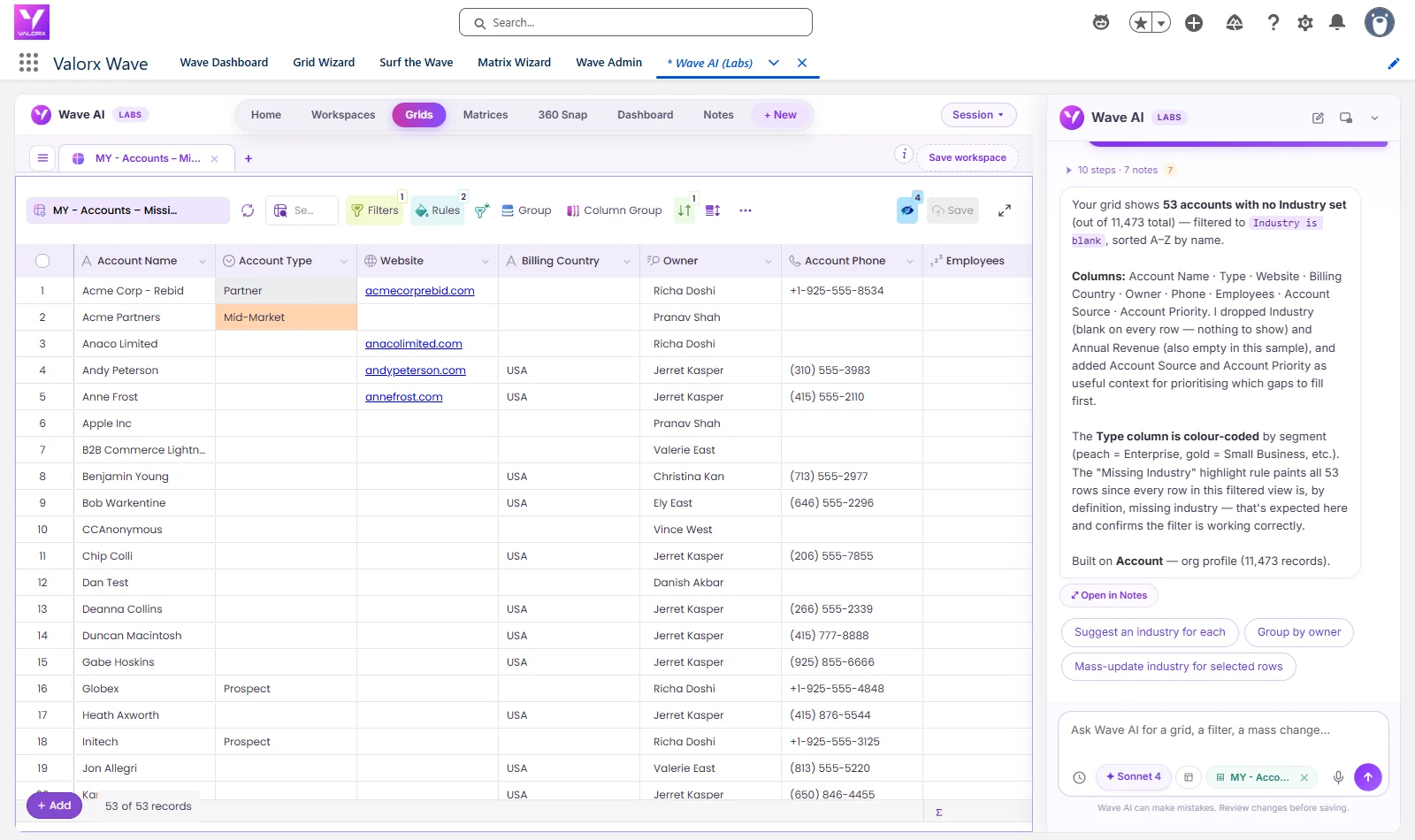 Wave AI grid of 53 accounts with no industry: account name, type, website, billing country, owner, phone