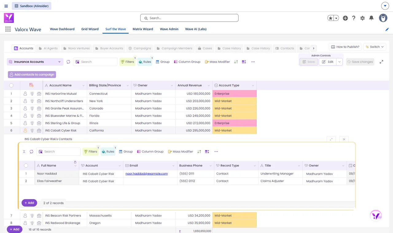 Contacts related list open under an account row in a Valorx Wave grid