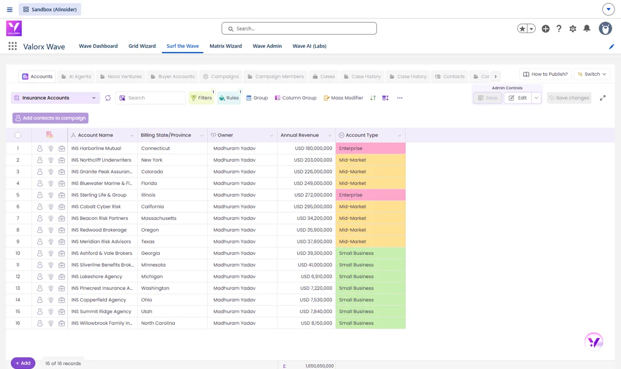 Account 360 grid in Valorx Wave with contacts, opportunities and cases related-list icons on every row