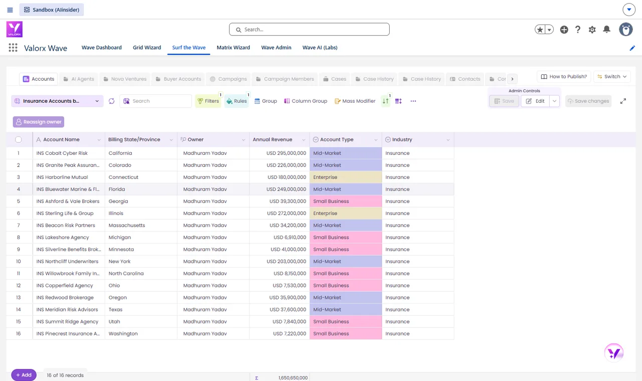 Territory grid of Insurance accounts sorted by billing state in Valorx Wave with account type colored
