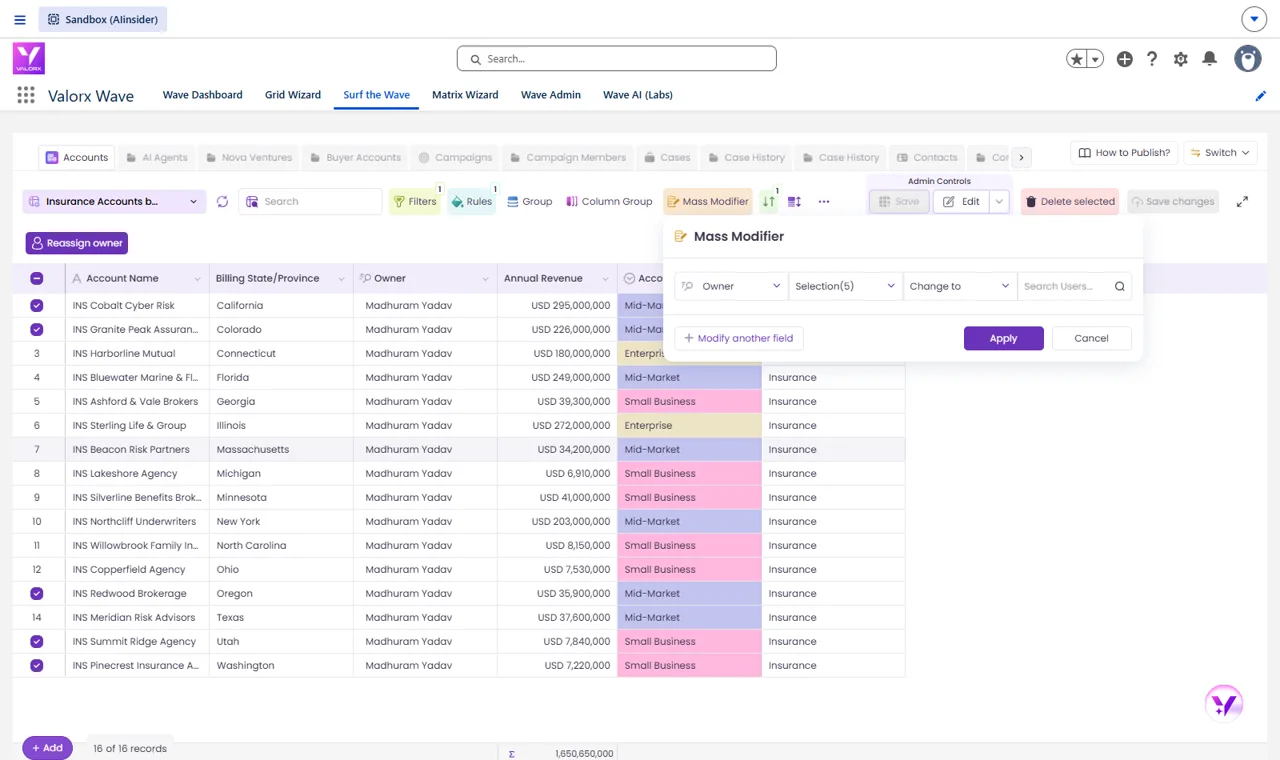 Mass Modifier in Valorx Wave changing the Owner of five selected accounts