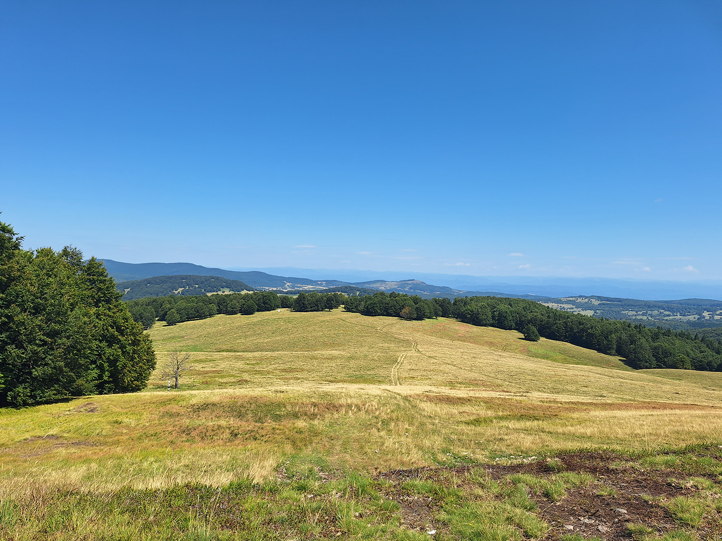 Weite bergige Landschaft mit Wiesen und Wald unter klarem Himmel | Geländewerk Offroad Reisen & Offroad Touren für Selbstfahrer