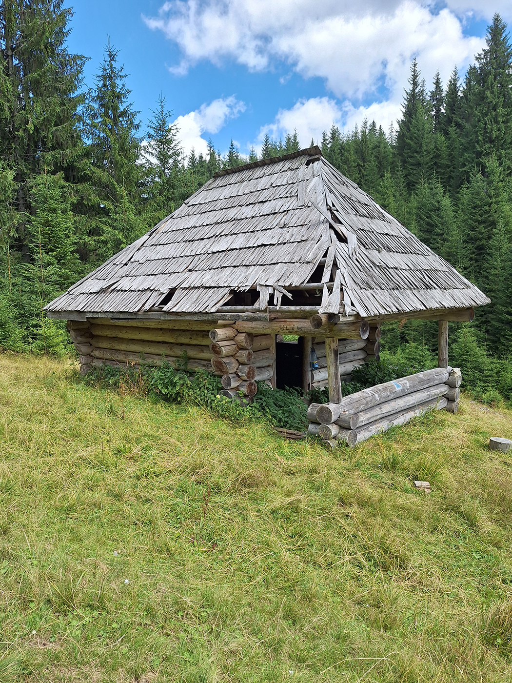 Verlassene Holzhütte in den Bergen umgeben von dichtem Nadelwald | Geländewerk Offroad Reisen & Offroad Touren
