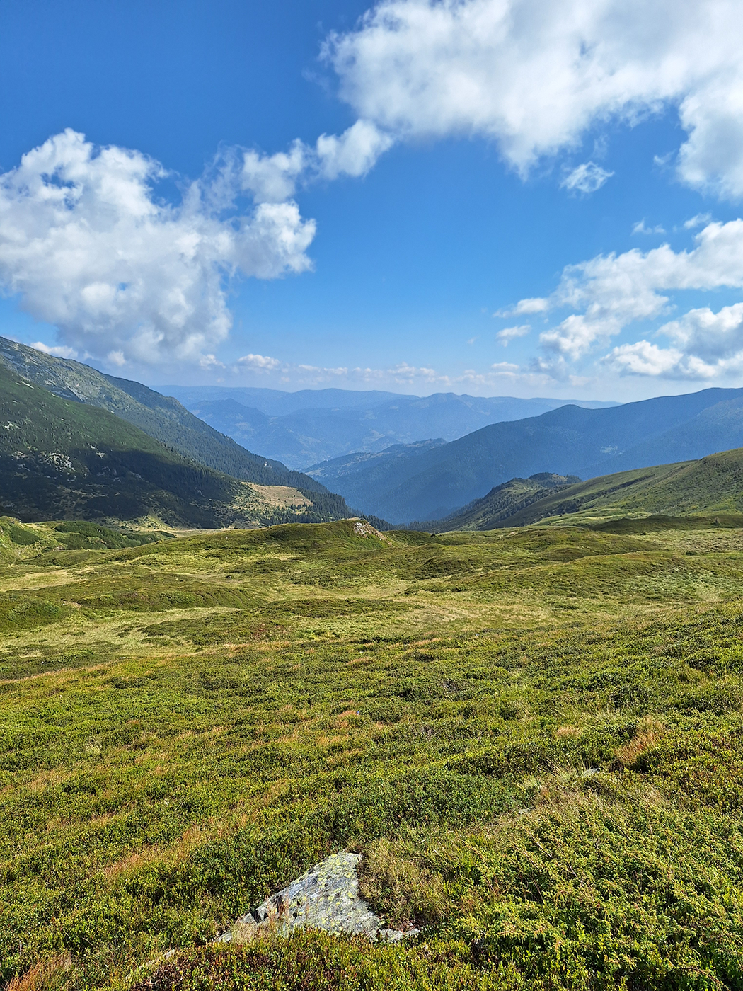 Weite grüne Gebirgslandschaft unter blauem Himmel während einer Geländewerk Offroad Reise | Offroad Touren & Offroad Reisen für Selbstfahrer