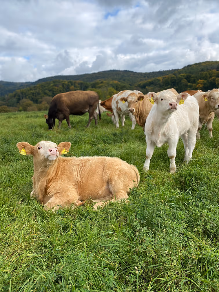 Landwirt Robin Weber