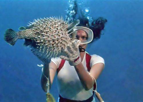 Jacqueline Bisset in "The Deep" - Part of the wet T-shirt contest history