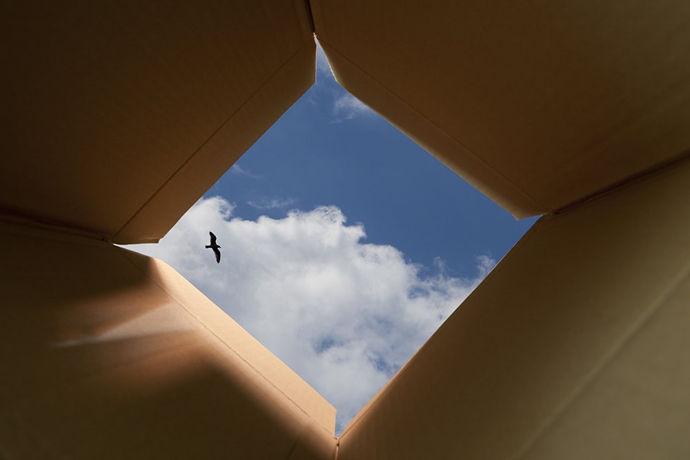 If you don't see posts think you've been blocked or blocked by mistake file. You can resolve mistake filing a ticket.