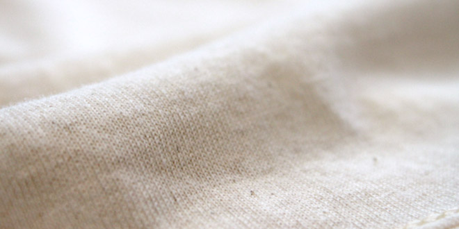 cotton closeup