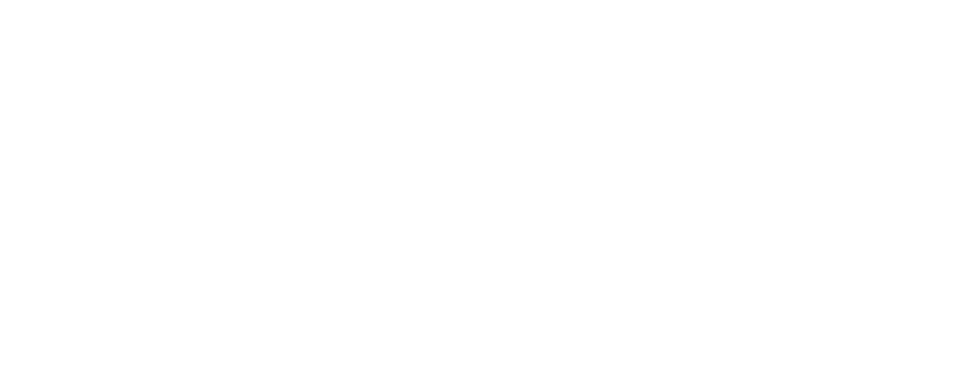 Thomson Software Solutions