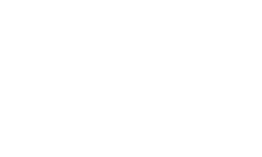 BiB