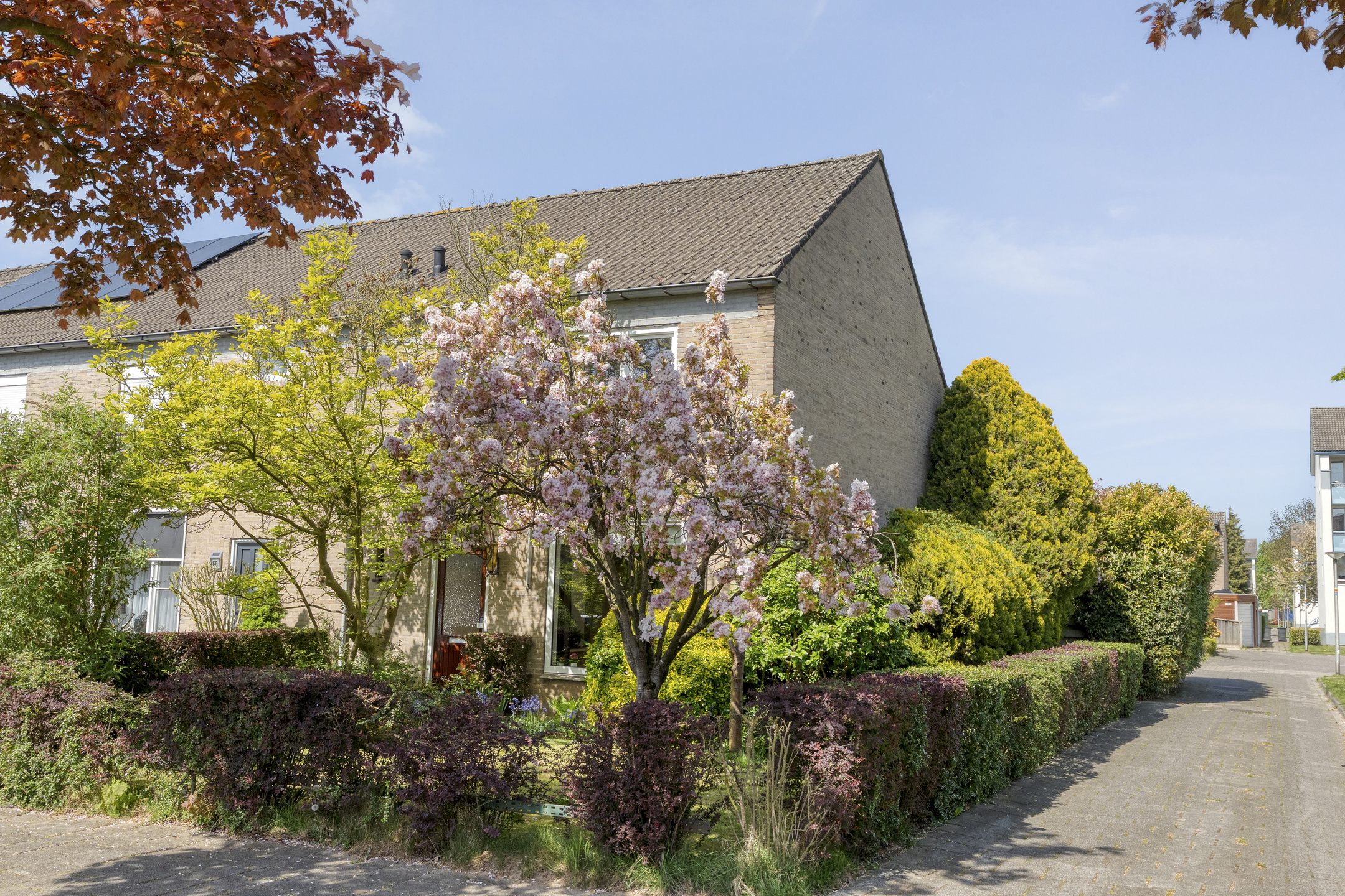 Saturnusstraat 66