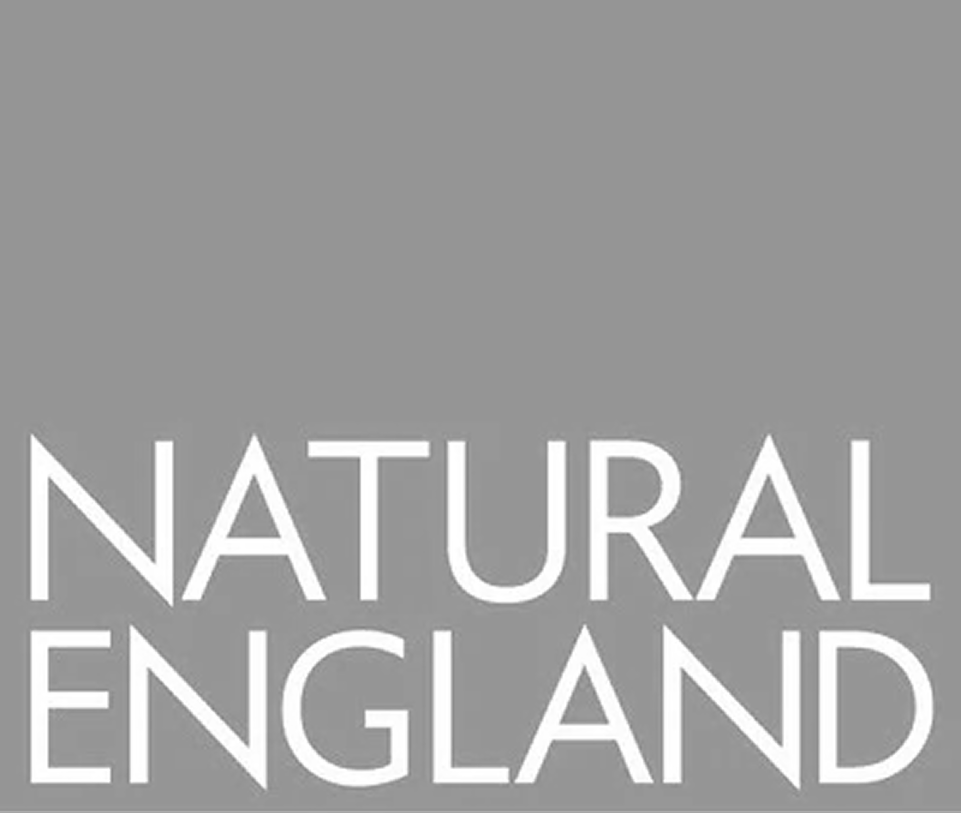 Natural England Logo