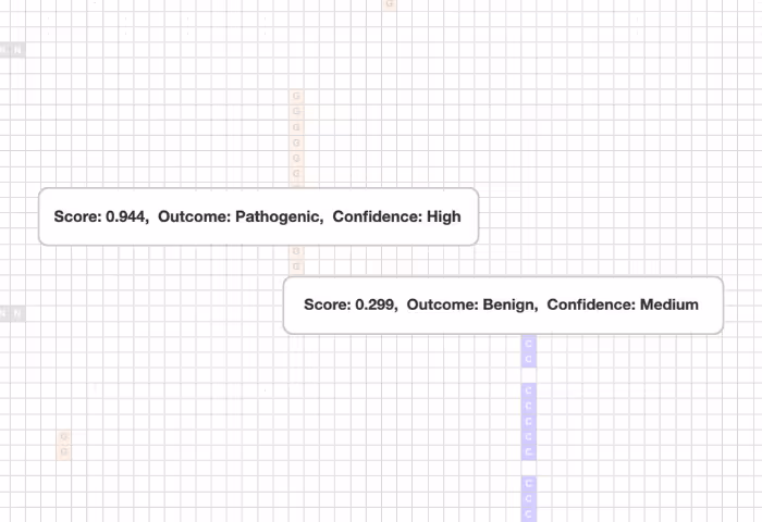 Two labeled boxes on a grid background showing scores and outcomes: 'Score: 0.944, Outcome: Pathogenic, Confidence: High' and 'Score: 0.299, Outcome: Benign, Confidence: Medium'.