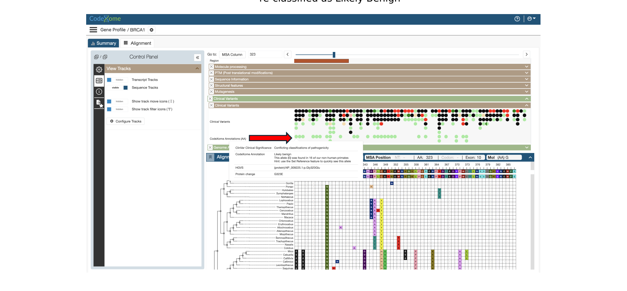 CodeXome annotation tooltip for Gly323Glu showing it reclassified as likely benign, with the CodeXome track inserted beneath the ClinVar track