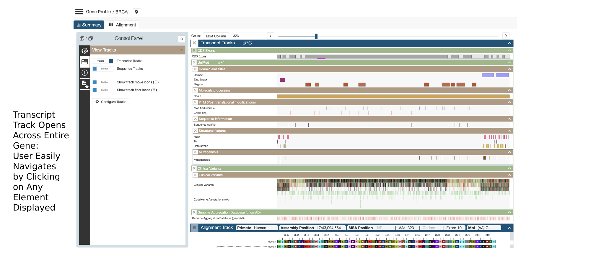 CodeXome platform view showing UniProt domain and site data, ClinVar clinical variants, and gnomAD population data all integrated and mapped to GRCh38 coordinates for BRCA1