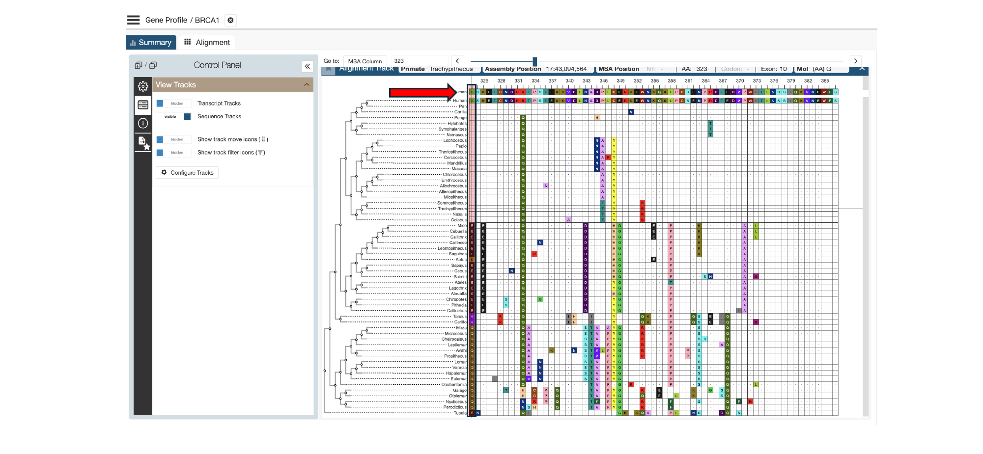 CodeXome alignment view across the full primate order, position 323 highlighted, showing a narrow set of tolerated amino acids