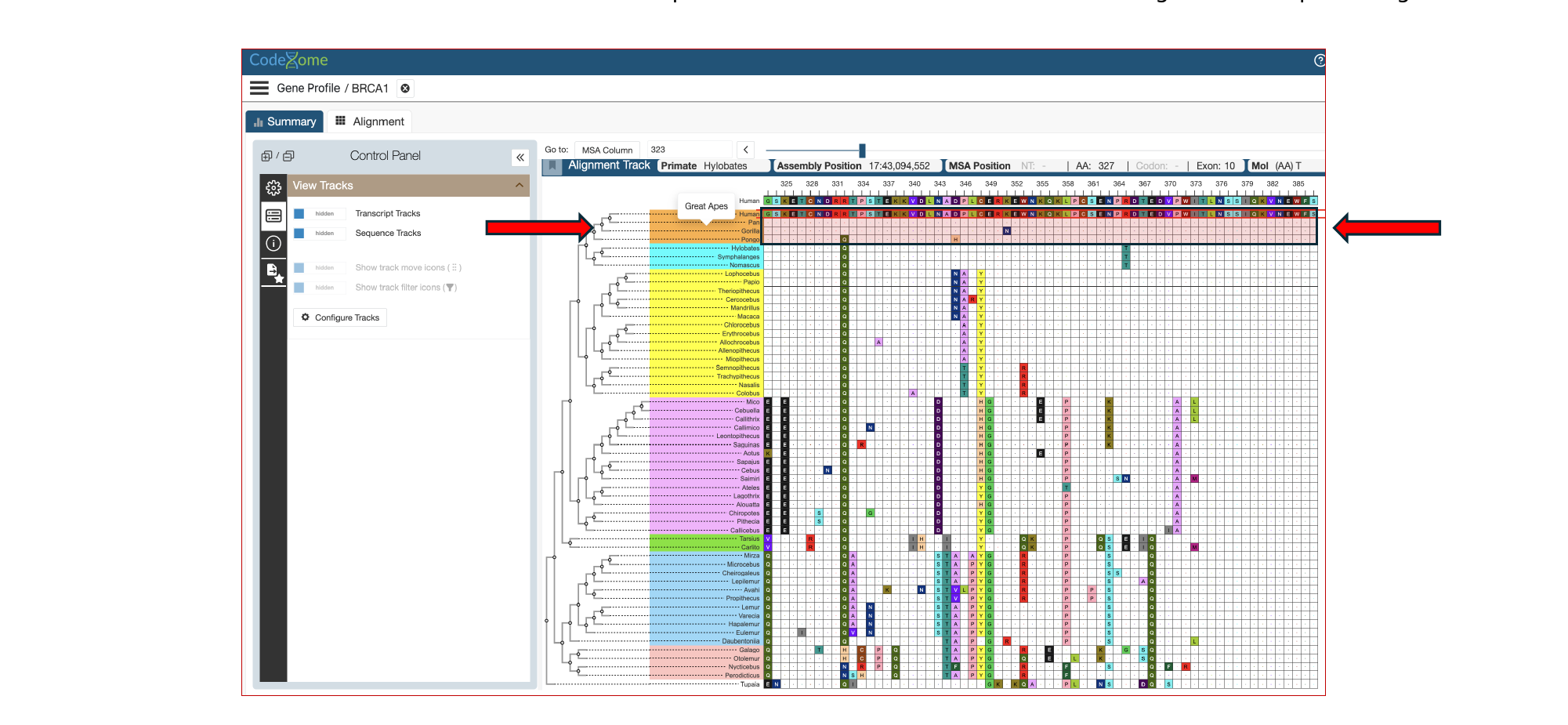 CodeXome gene profile view showing BRCA1 aligned across humans and the great apes, nearly identical across the row