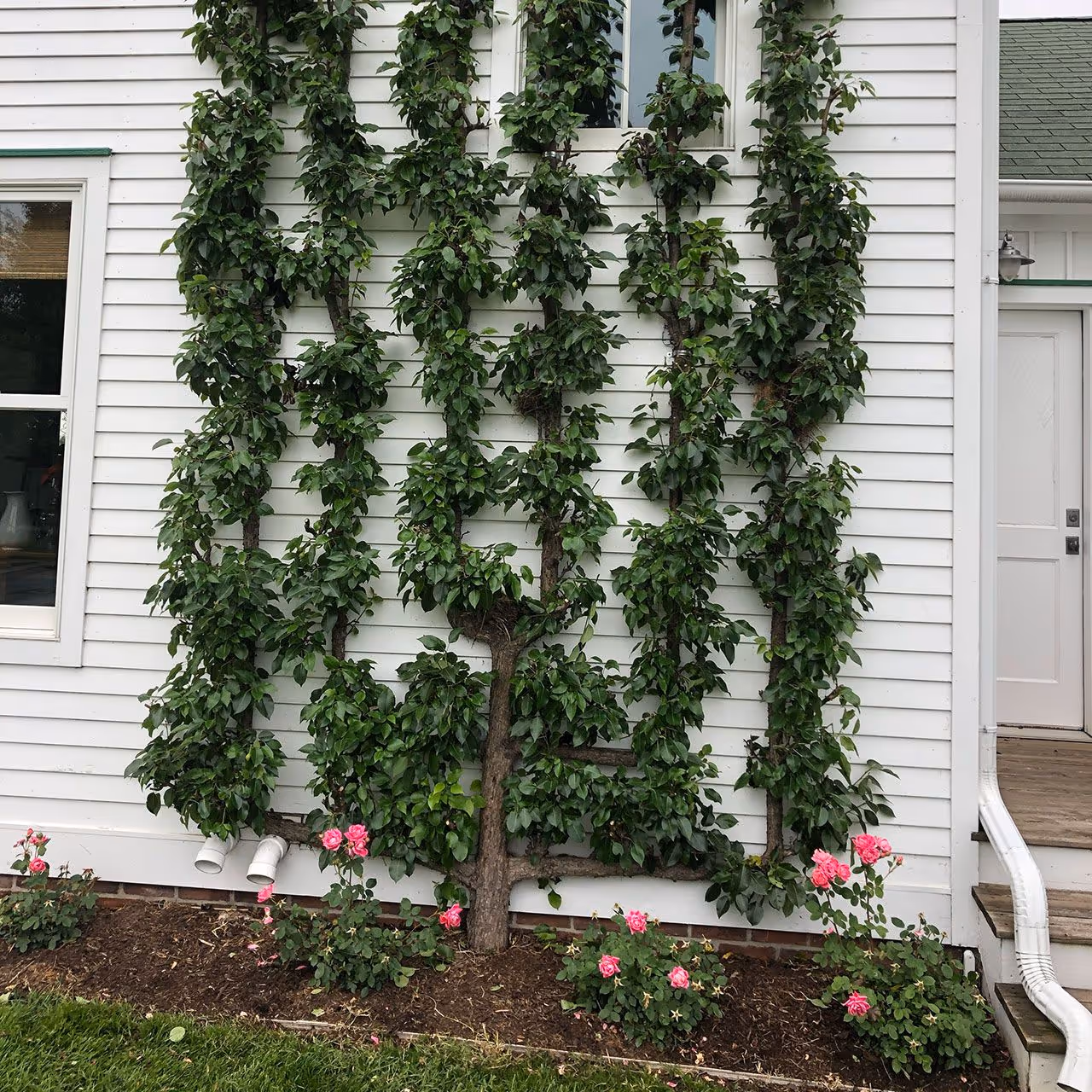 Southwest Michigan landscape design improvements