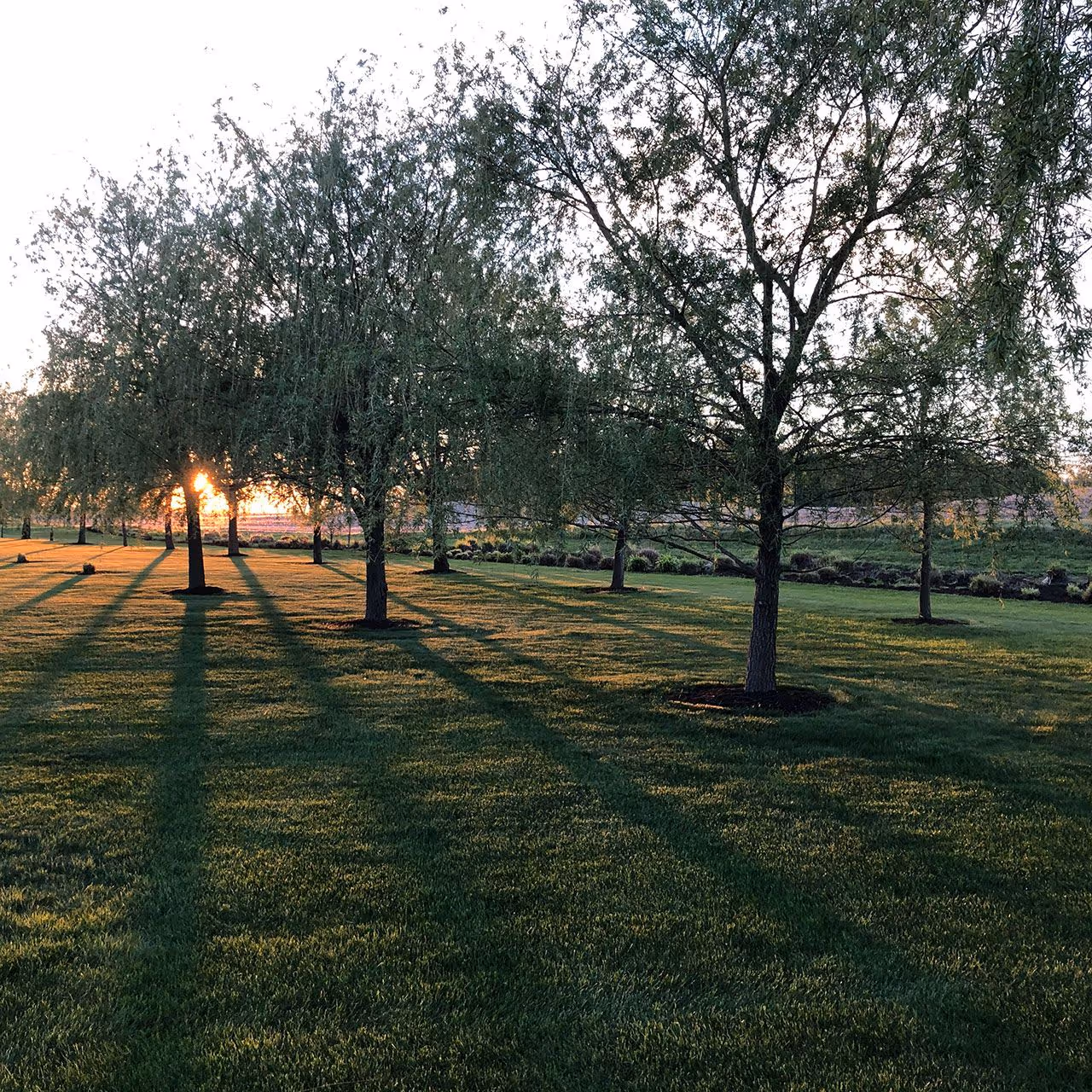 High quality lawn and landscape maintenance by Lakewood Landcare