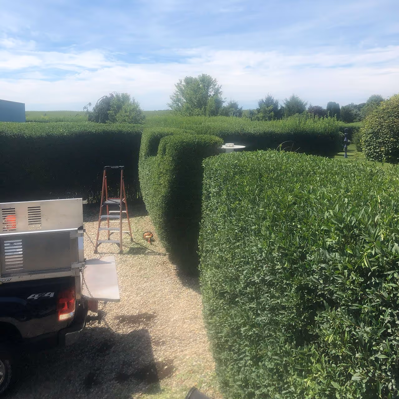 Lakewood Landcare professional bush trimming Southwest Michigan