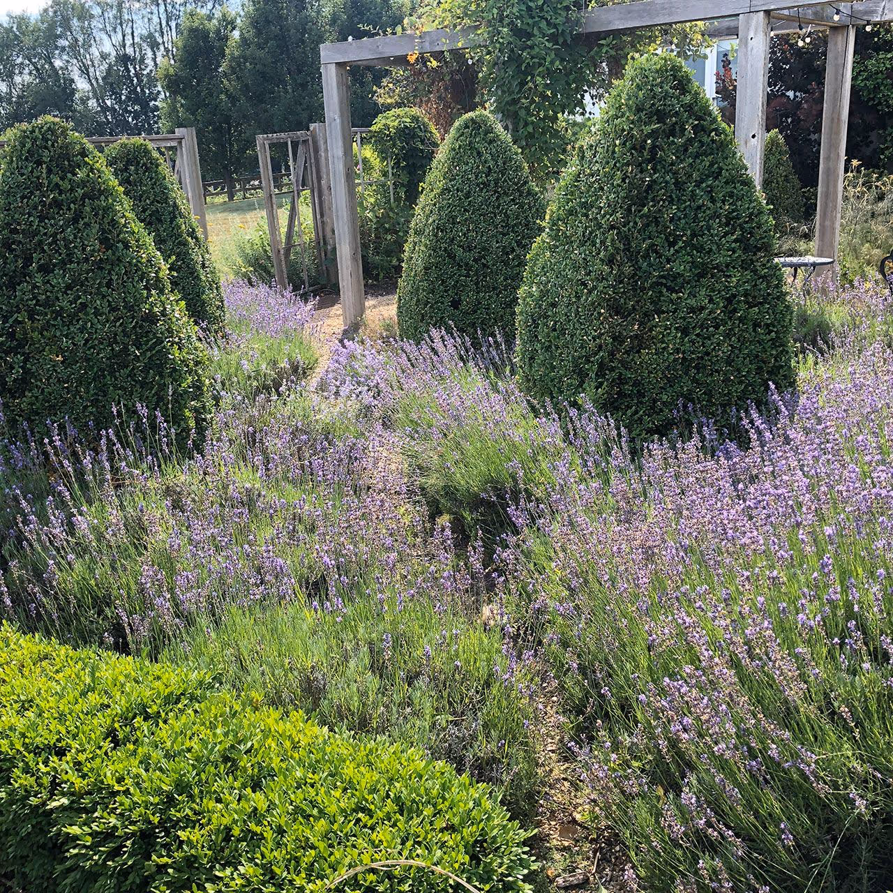 Lakewood Landcare creating well maintained landscape beds