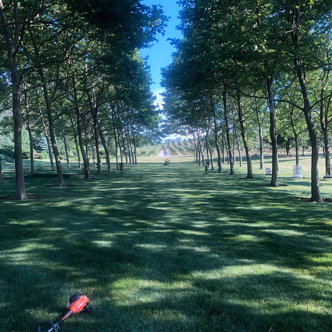 Lakewood Landcare lawn and landscape maintenance in Southwest Michigan