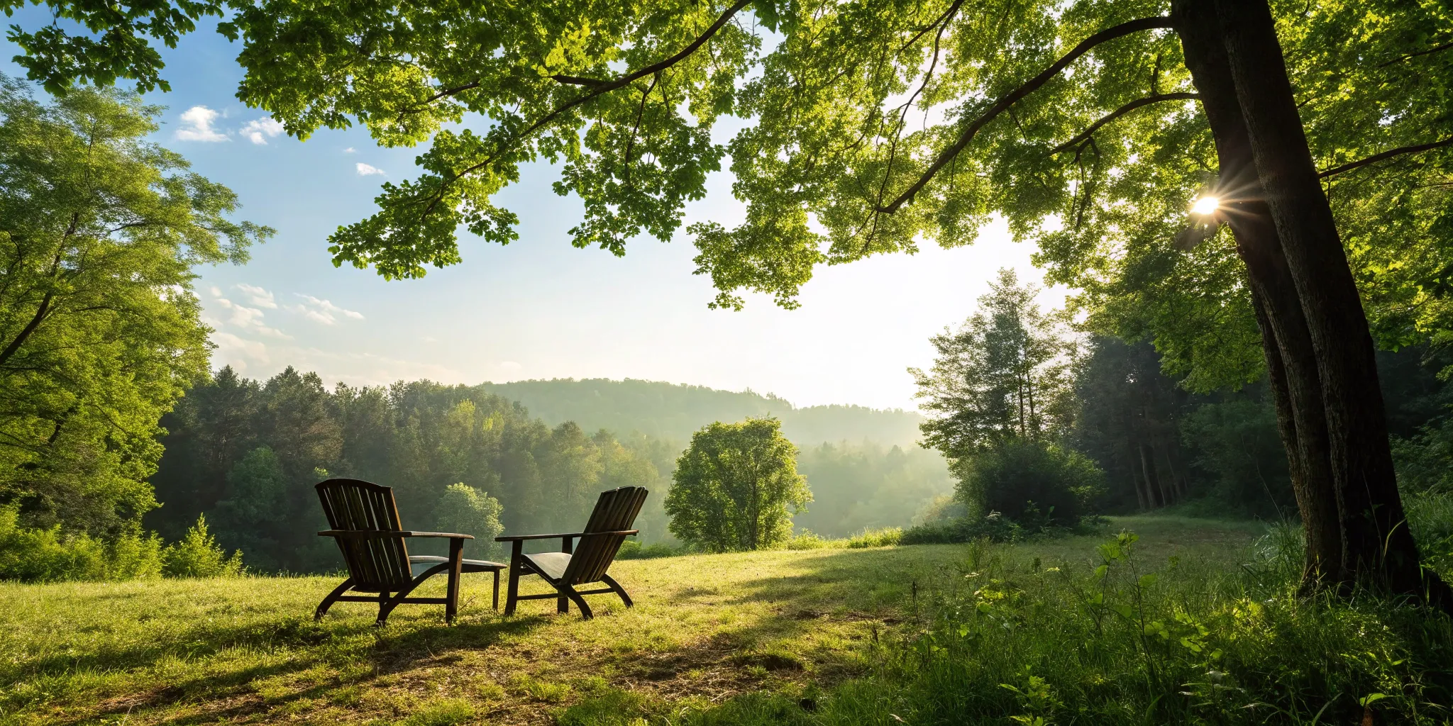 Two empty chairs in a quiet forest, a safe space for attachment repair therapy.
