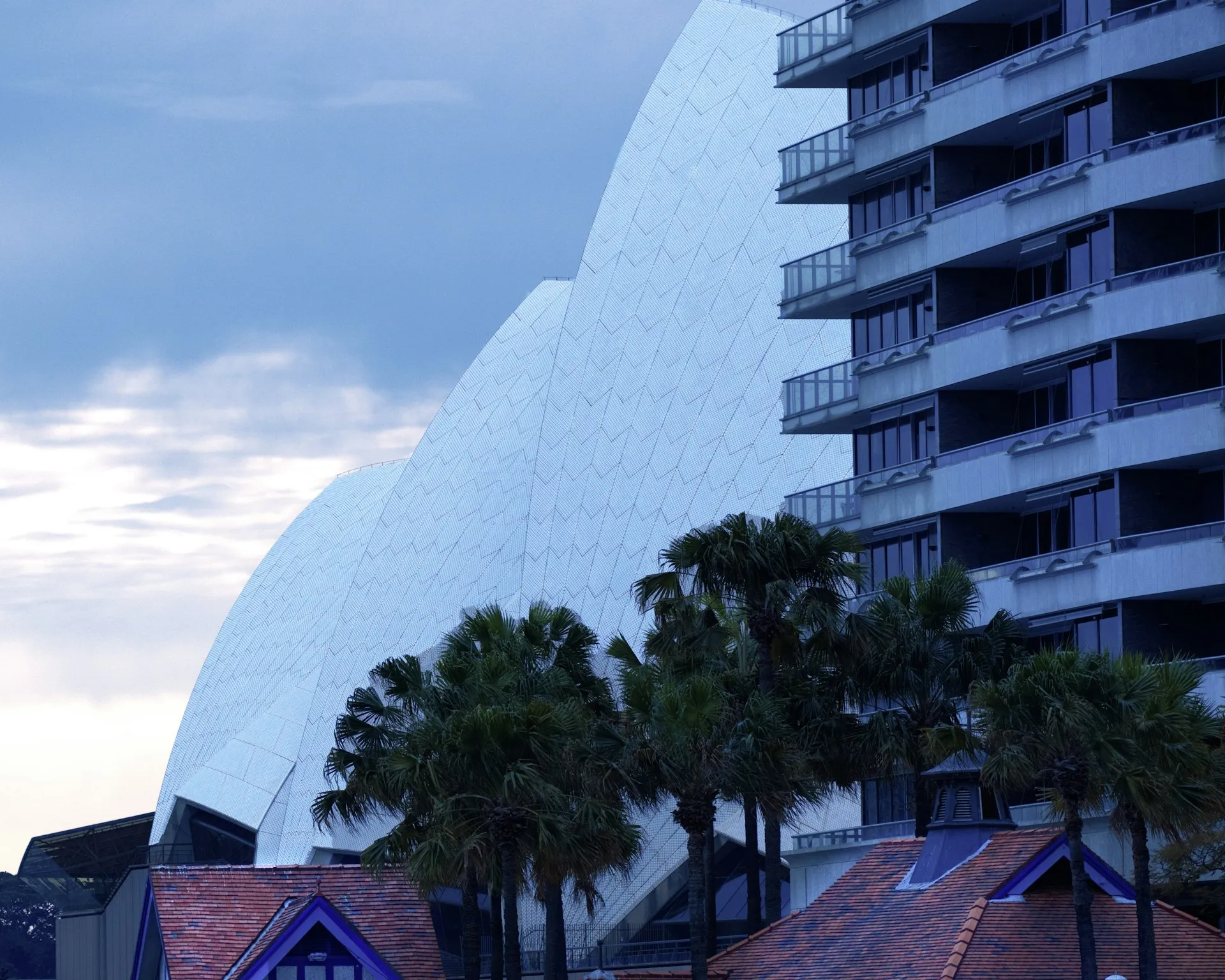 Sydney Opera House sails beside a high-rise apartment building