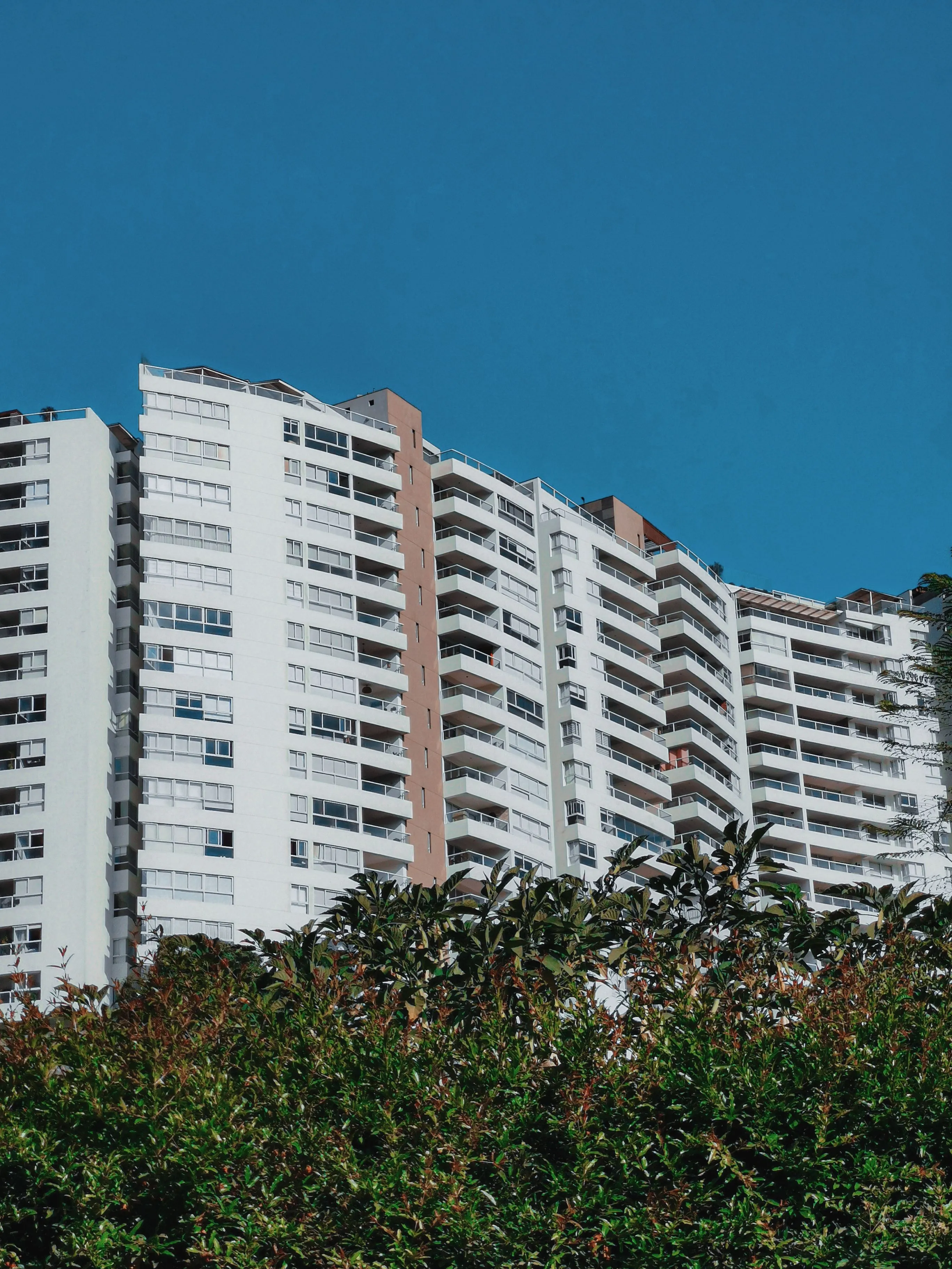 High-rise apartment building rising behind trees