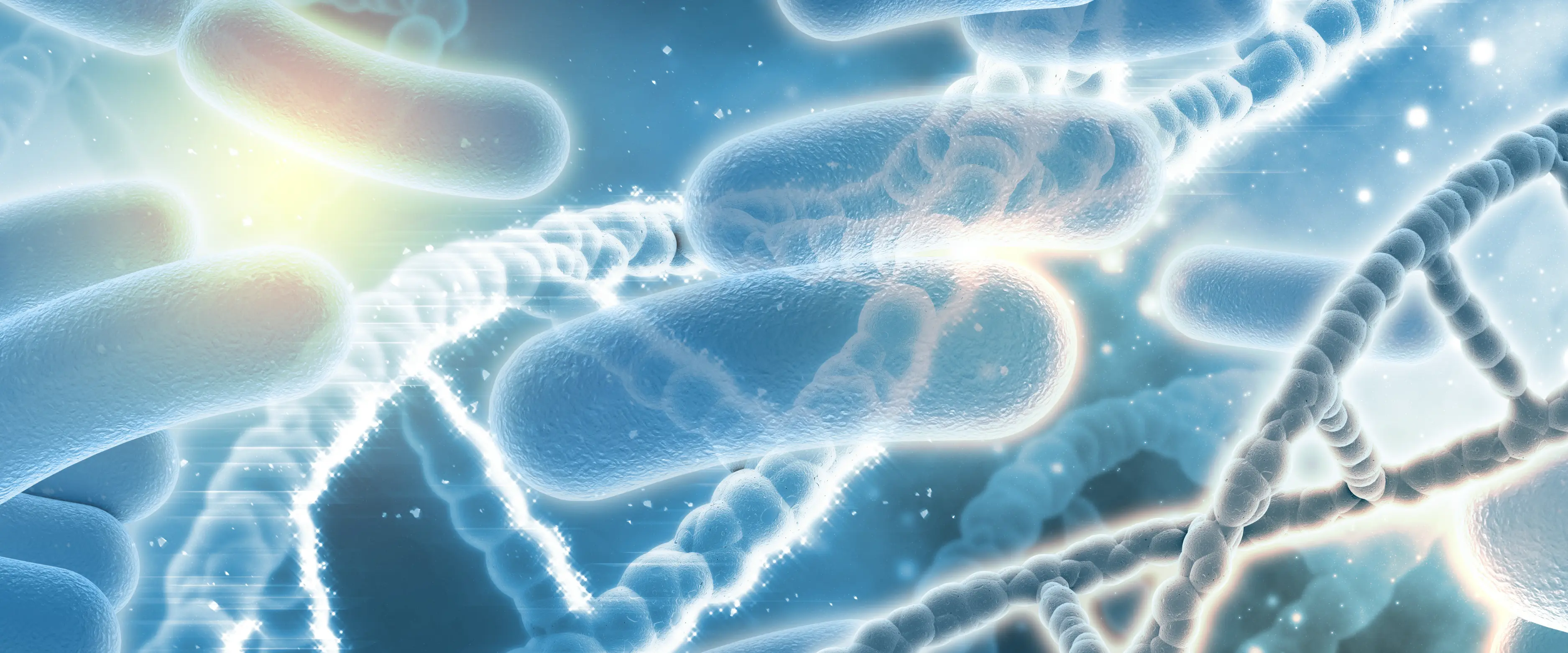 Image de bactéries et de gènes associés au kyste pilonidal