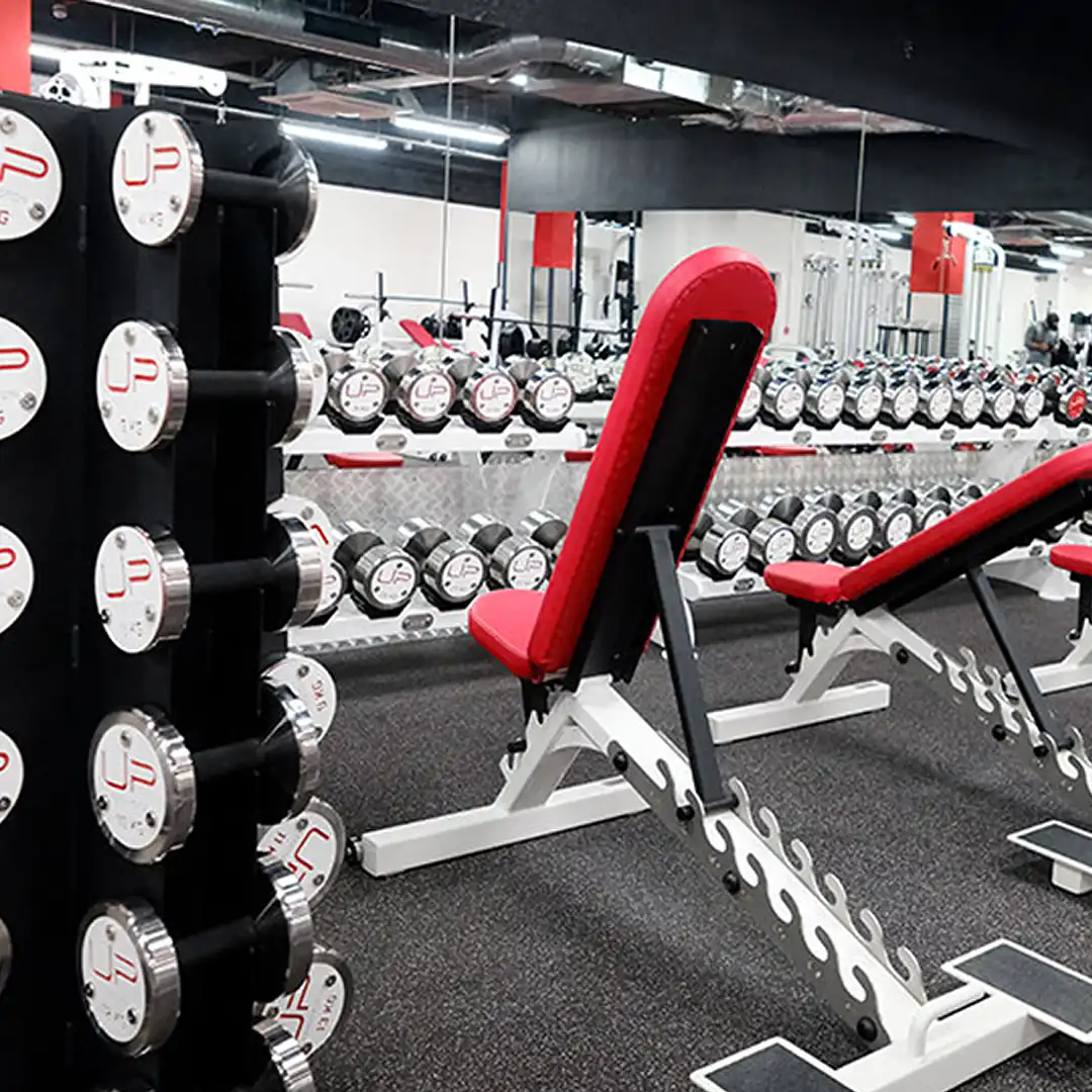 Gym interior with red and black adjustable weight benches and racks of silver dumbbells.