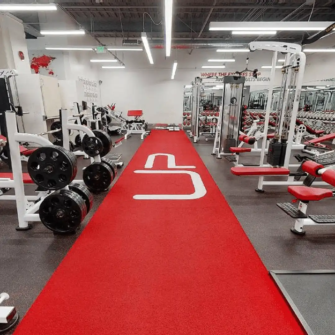Gym interior with a red carpet runway labeled 'UP' flanked by weightlifting machines and benches.