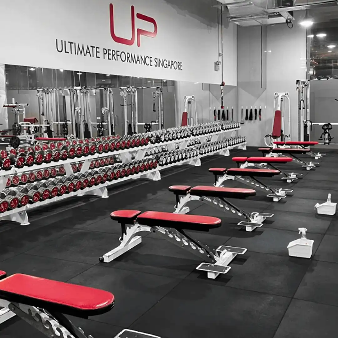 Interior of Ultimate Performance Singapore gym with rows of red and white benches and dumbbell racks along mirrored wall.
