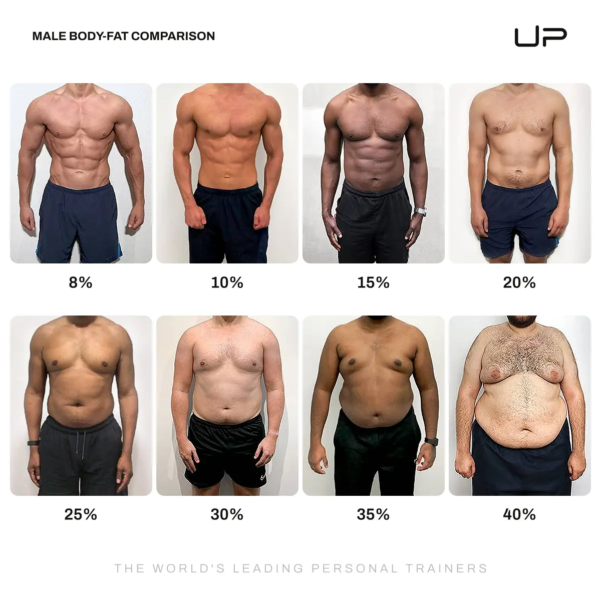 Comparison of male bodies showing varying body fat percentages from 8% to 40%, illustrating different levels of muscle definition and fat distribution.
