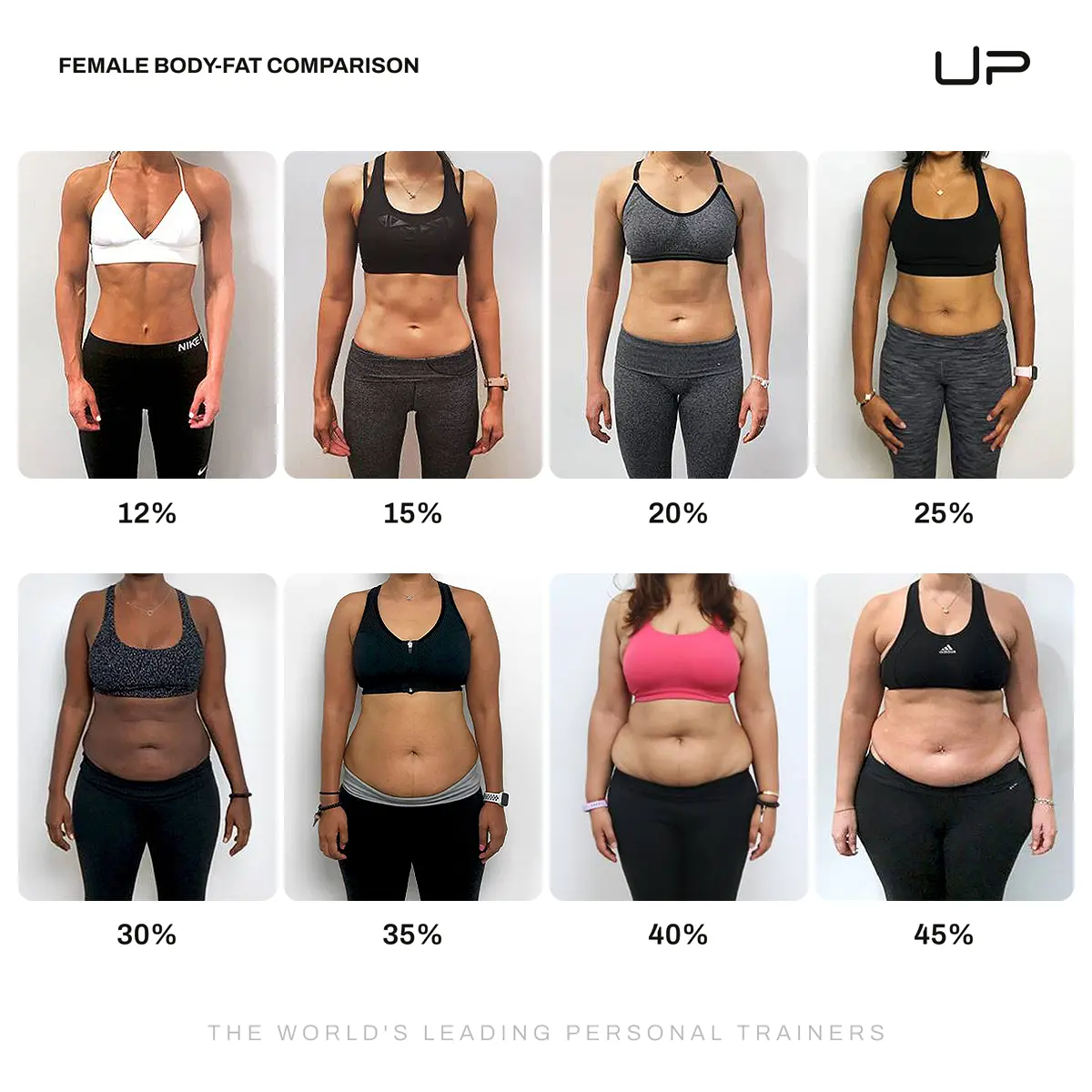 Comparison of female body fat percentages showing front views of women from 12% to 45% body fat in two rows.