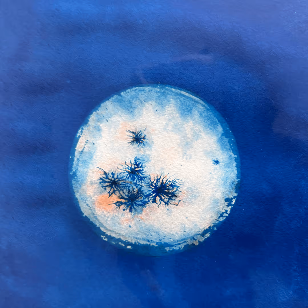 illustration of bacteria